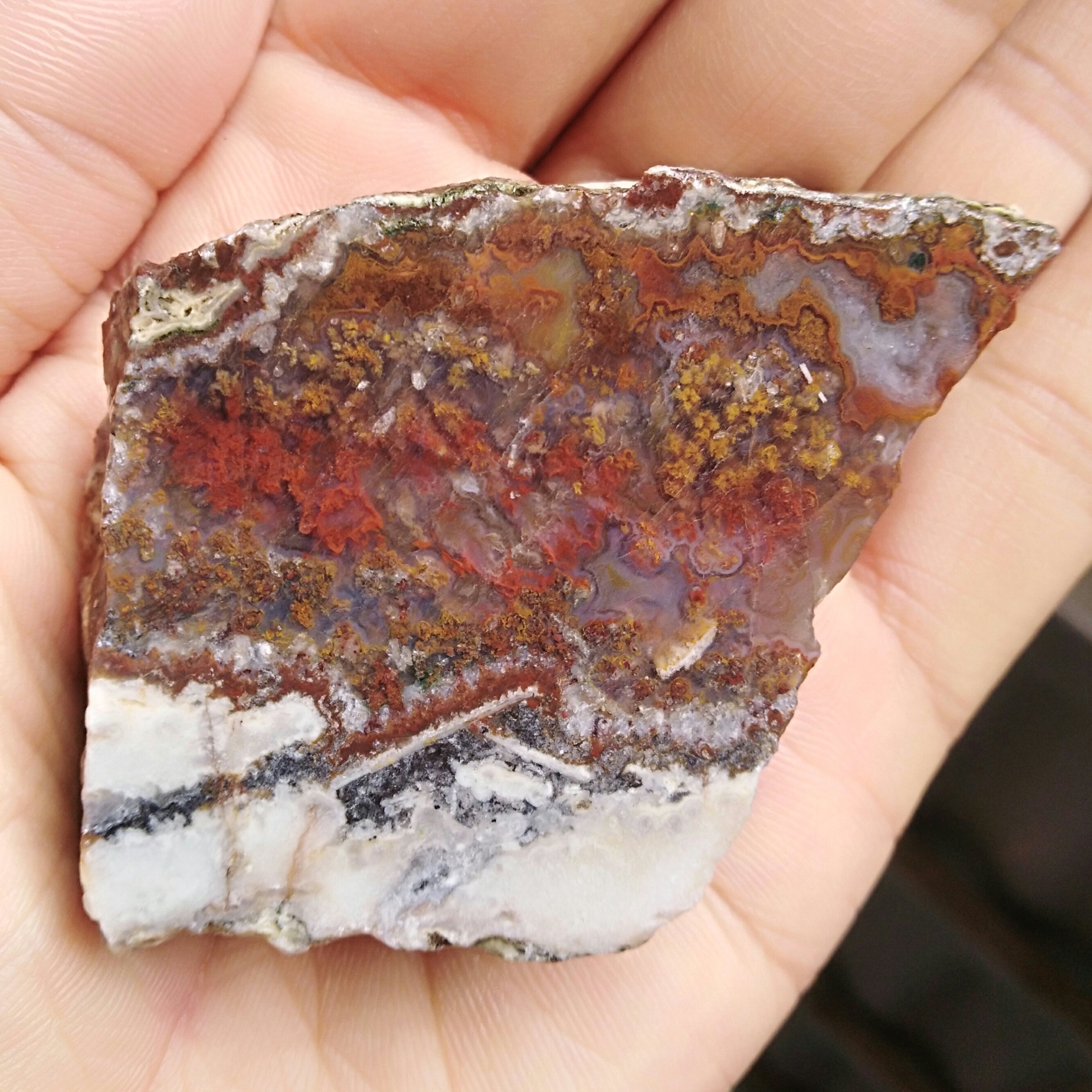 اسلایس راف شجر 7رنگ دیدنیییی کاملا طبیعی