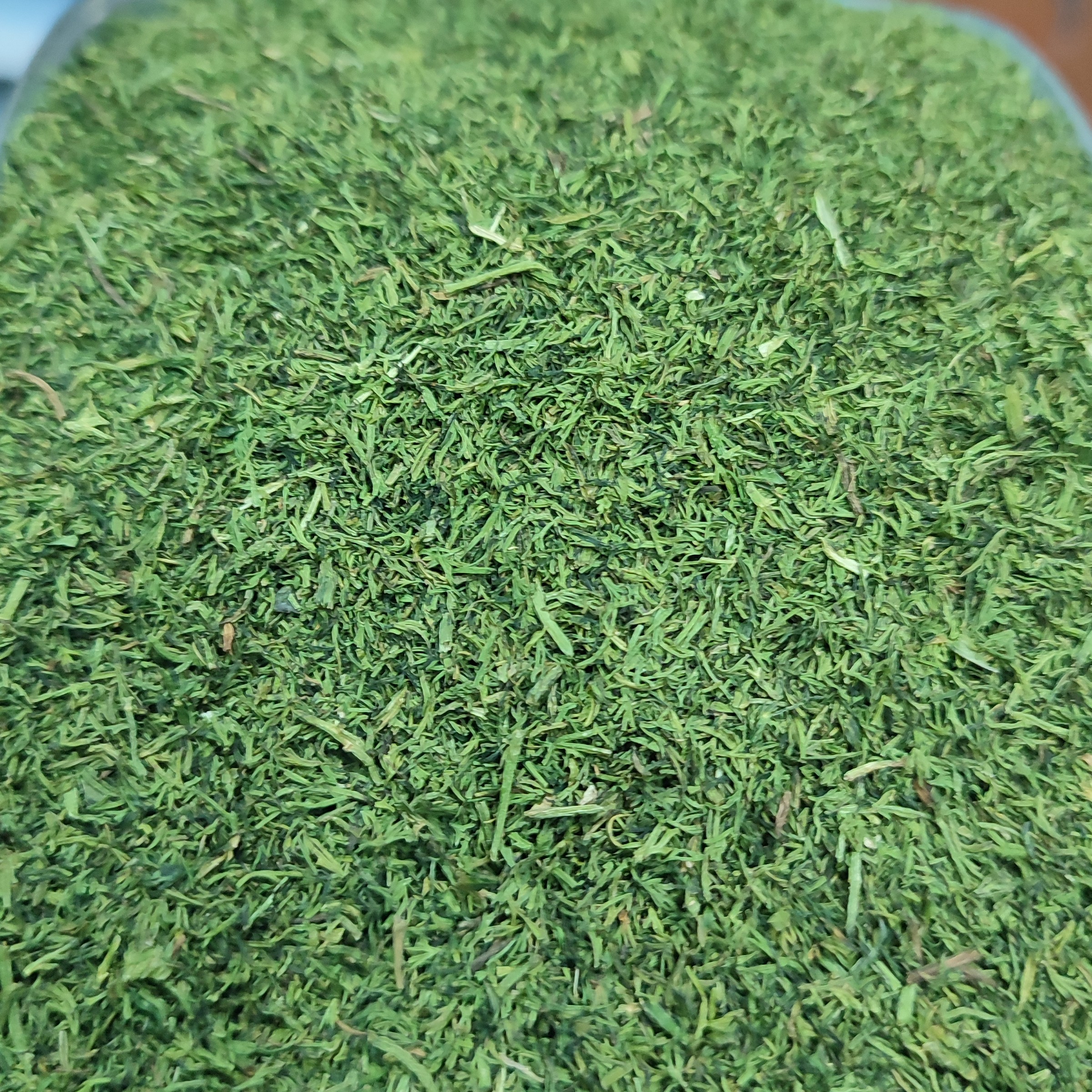 شوید خشک اعلا یک کیلویی 