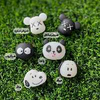 محافظ کابل سیلیکونی