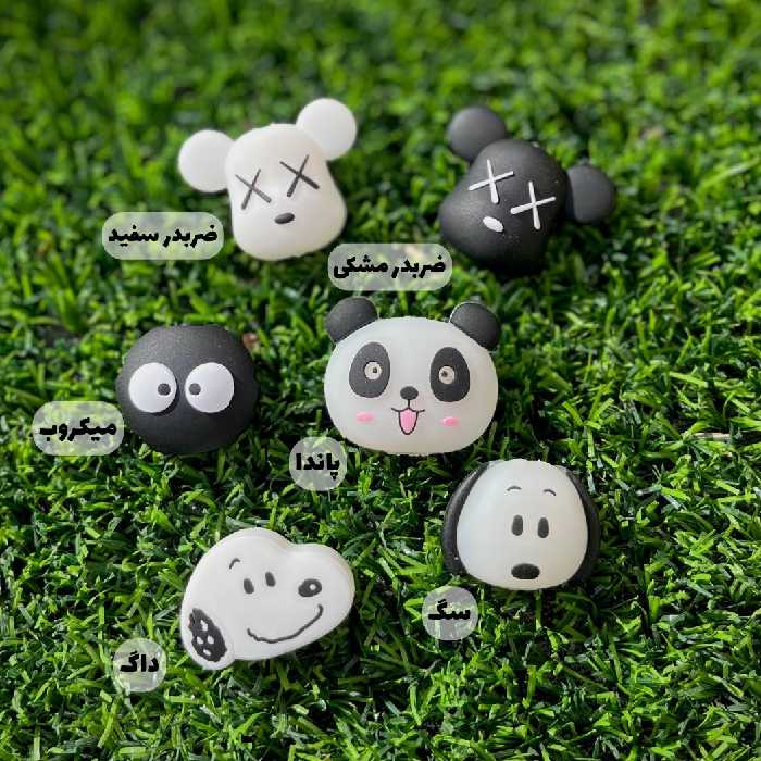 محافظ کابل سیلیکونی