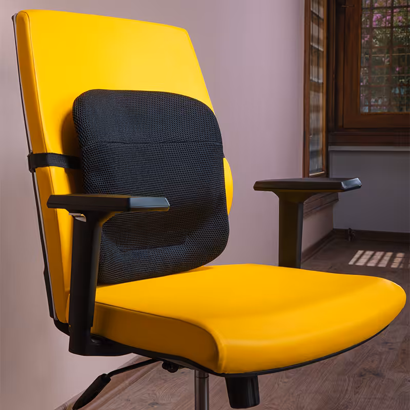 پشتی طبی باراد ( مدل LS 1) فروش به ادارات با فاکتور رسمی