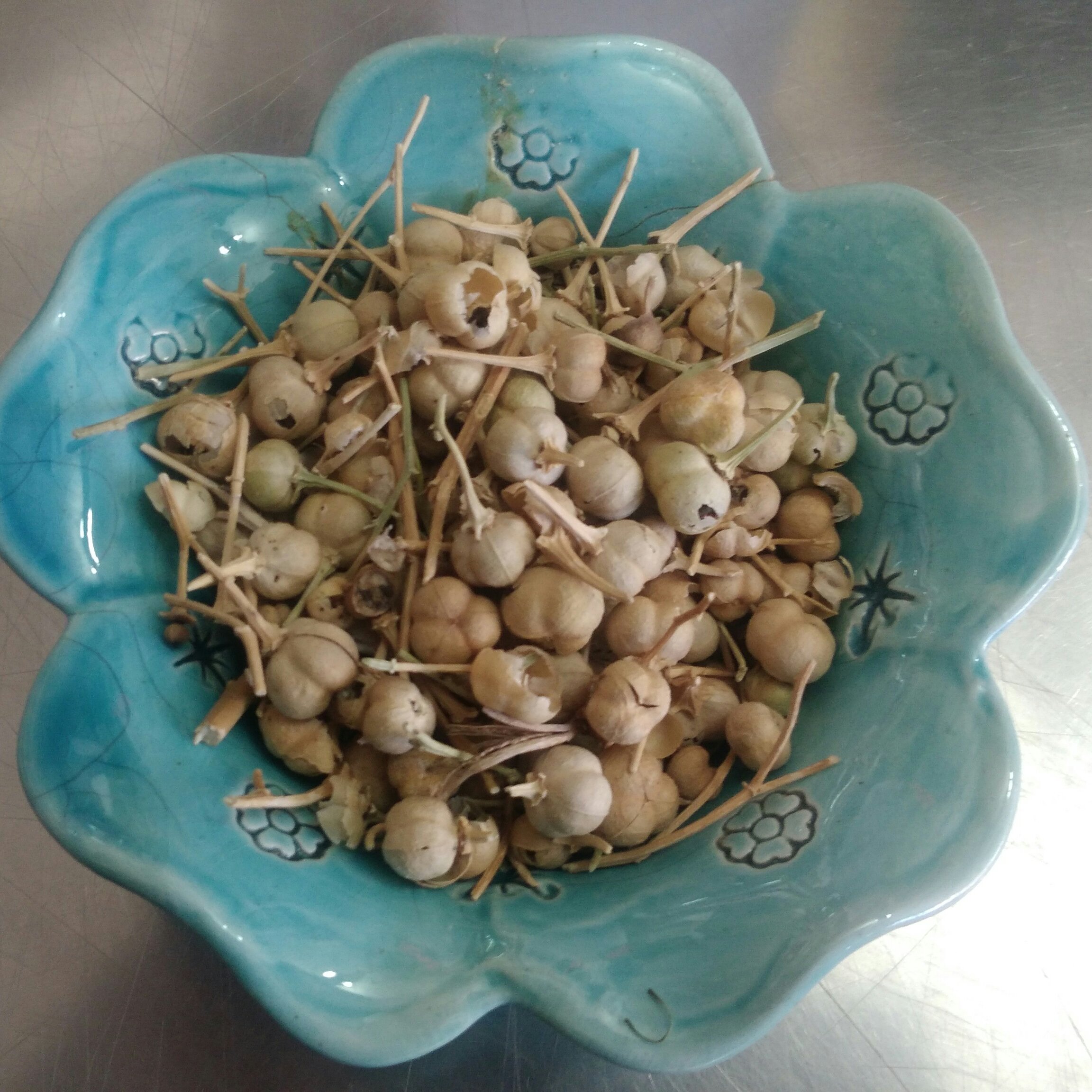 اسپند اعلا یا اسفند عطر خوب و دود زیاد