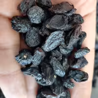 مویز افغانی بدون دانه درشت