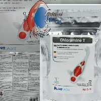 کلرامین تی جهت مصرف انگل های آبششی دیسکس و سایر آبزیان 6 گرمی