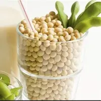 دانه خام  سویا
800 گرم
