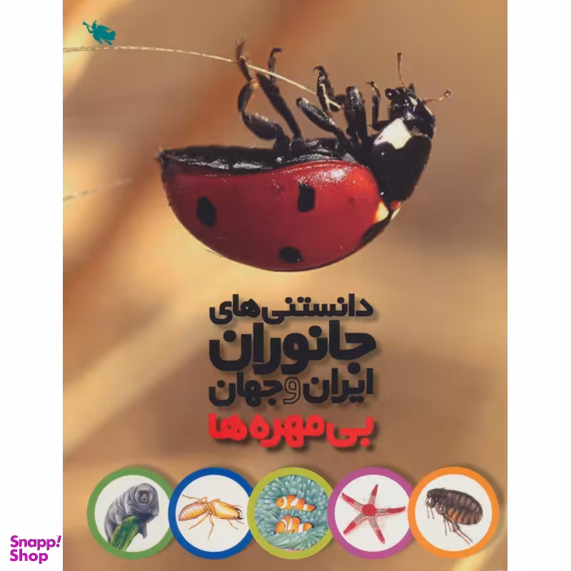 کتاب بی مهره ها اثر محمد کرام الدینی انتشارات نشر طلایی