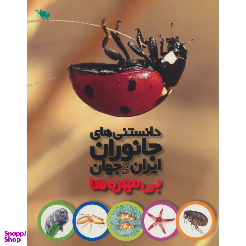 کتاب بی مهره ها اثر محمد کرام الدینی انتشارات نشر طلایی