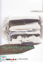 قیمت و خرید کتاب حاشیه باغ متروک اثر محبوبه میر قدیری | ایده بوک