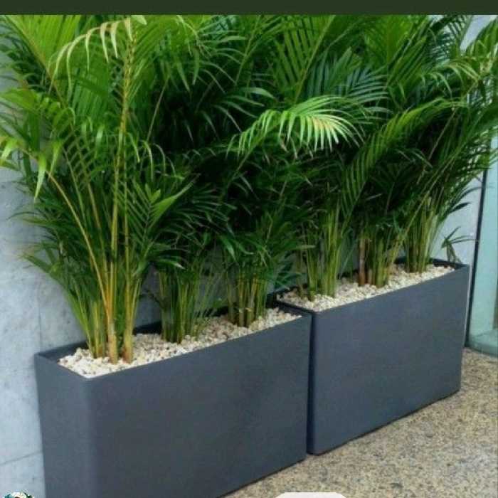 فلاورباکس سینی دار مناسب داخل و بیرون مقاوم (پس کرایه)