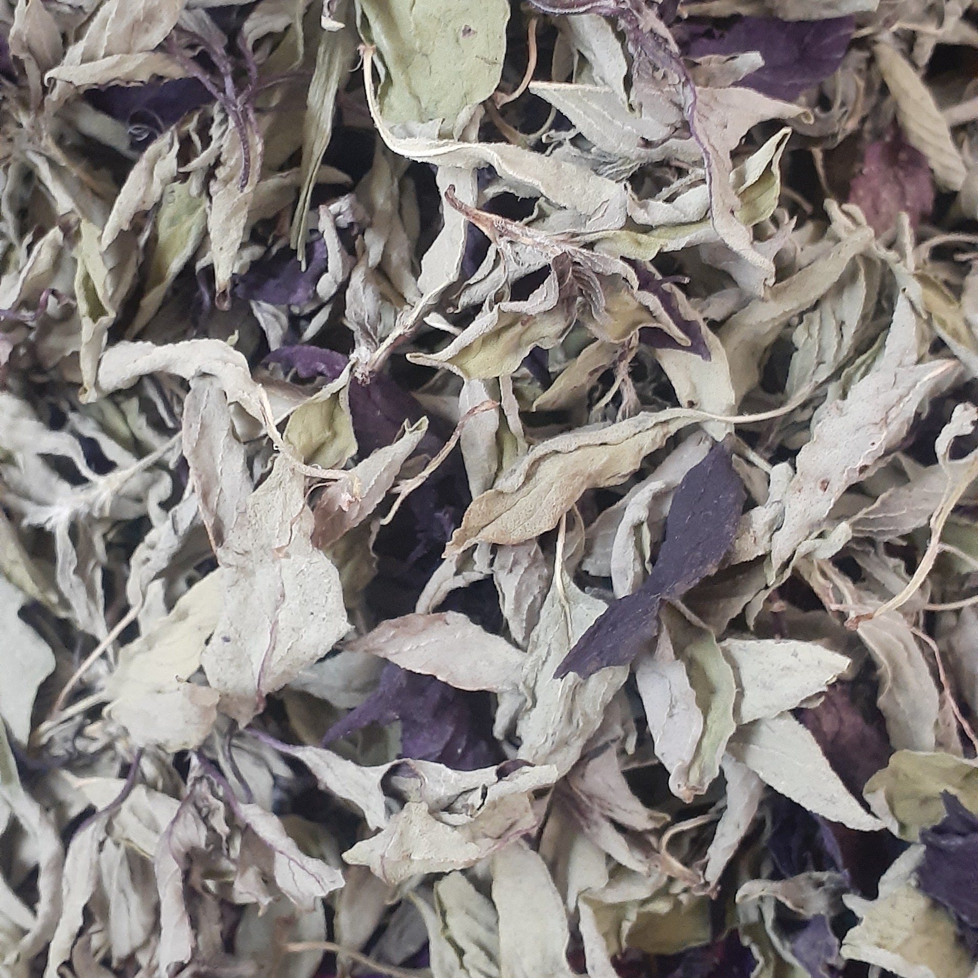 ریحان خشک در بسته100گرمی