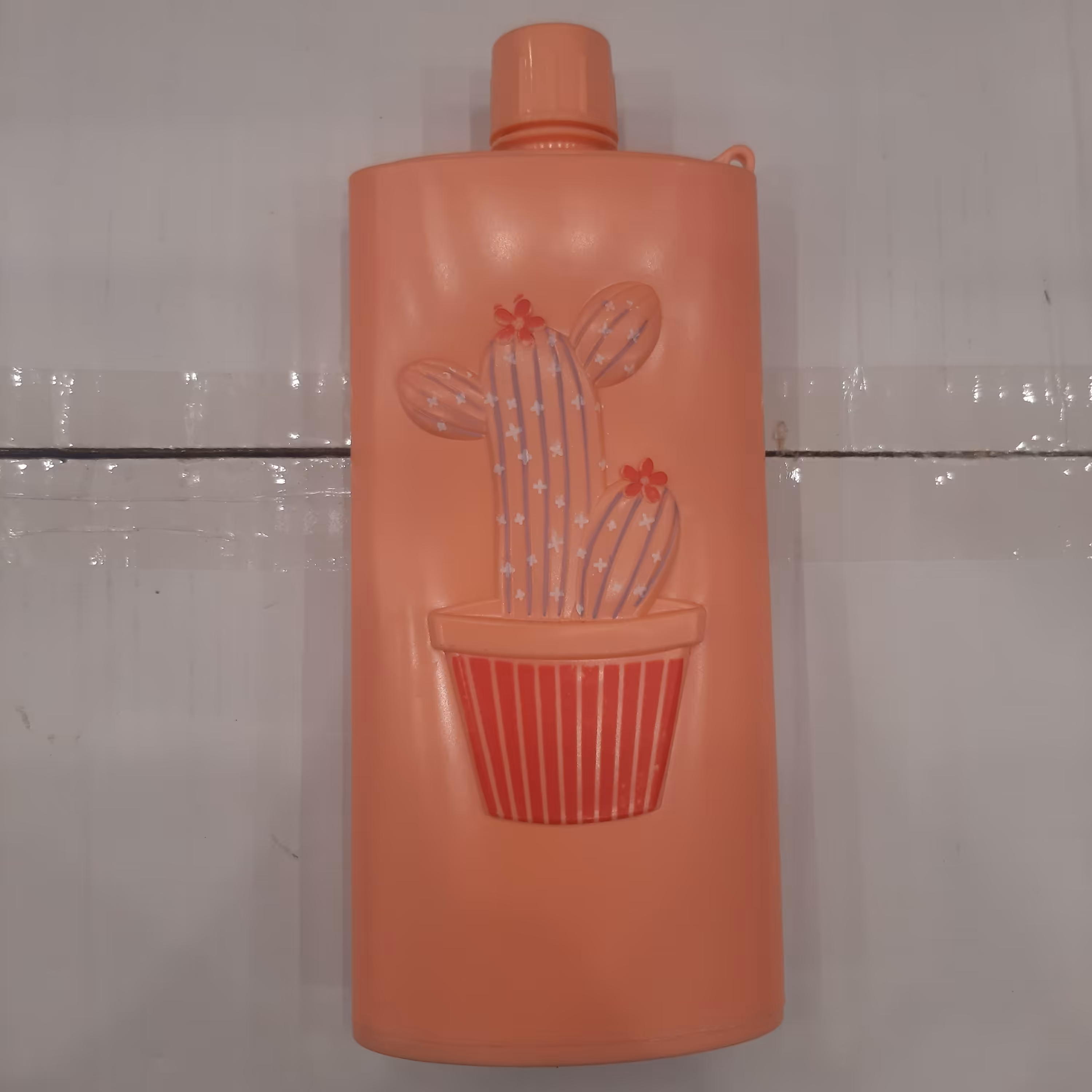 قمقمه آب طرح کاکتوس