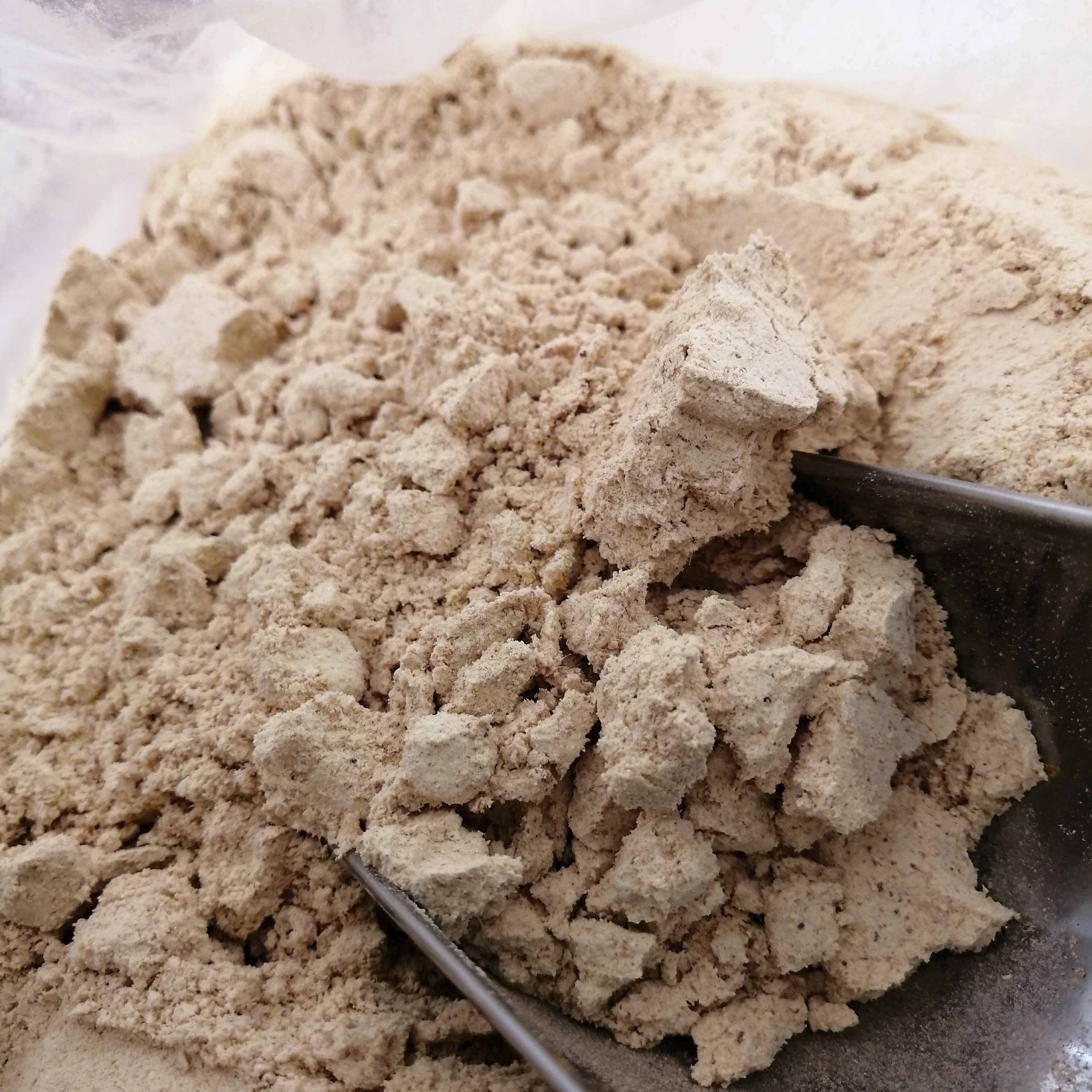 پودر زنجبیل اعلا بسته (100 گرمی) 