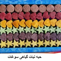 حبه نبات گیاهی سوغات