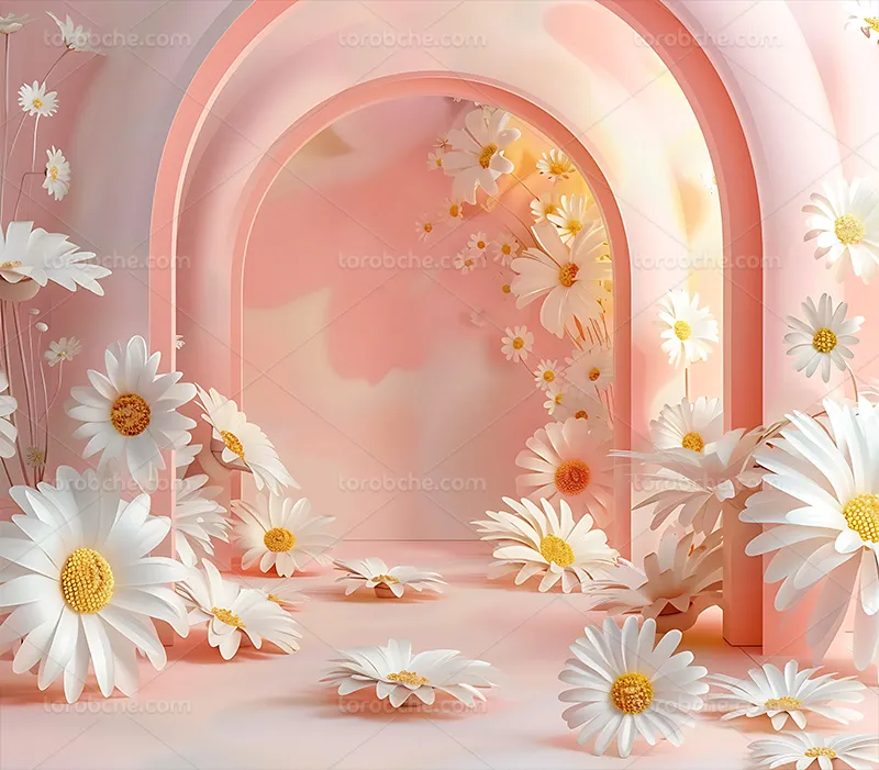 بک دراپ عکاسی با گل بابونه | گرافیک با طعم تربچه