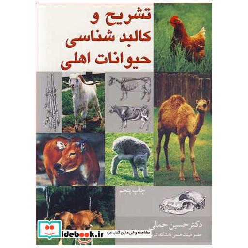 تشریح و کالبدشناسی حیوانات اهلی