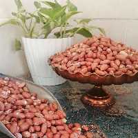 مغز بادام زمینی بو داده یک کیلویی