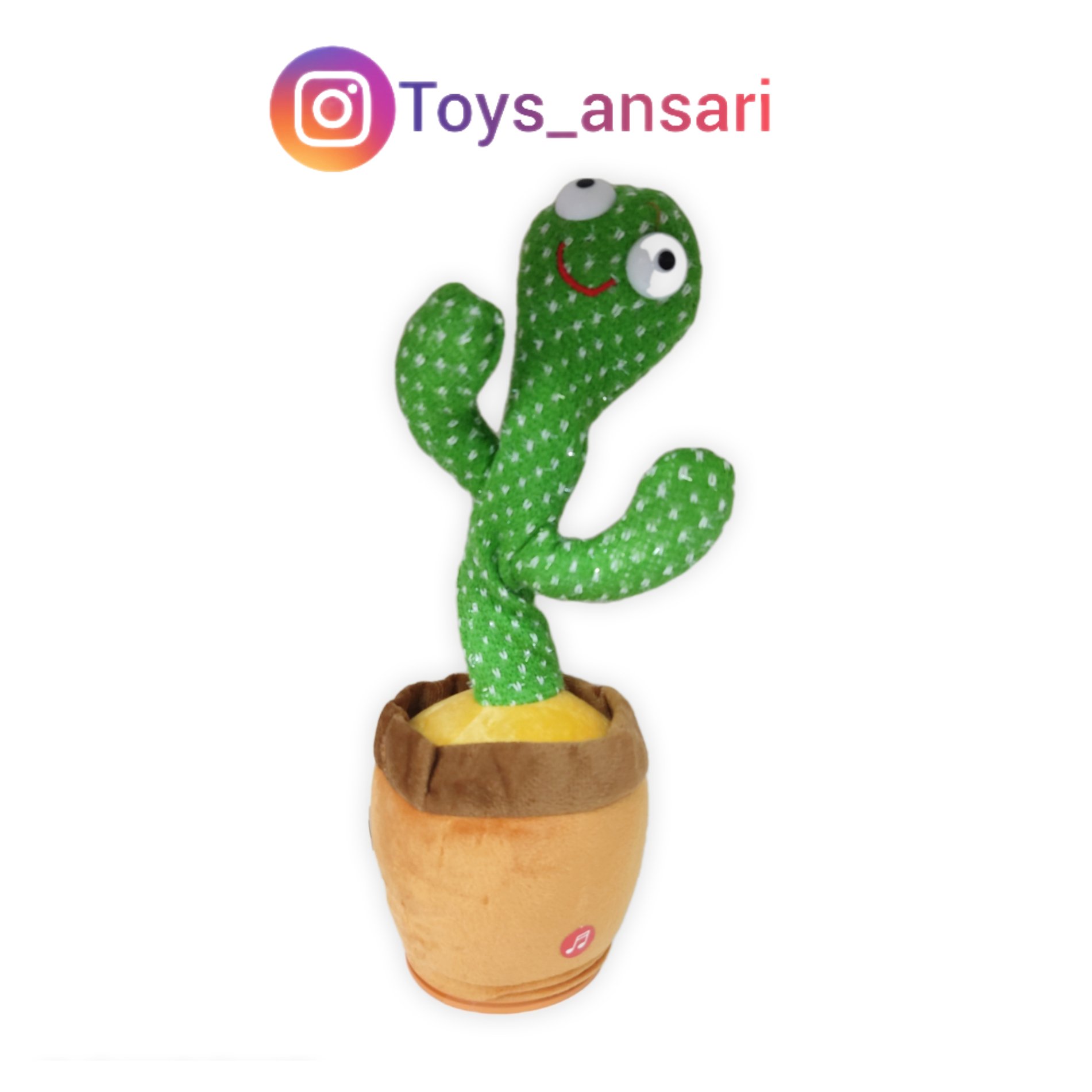 کاکتوس سخنگو شارژی رقاص