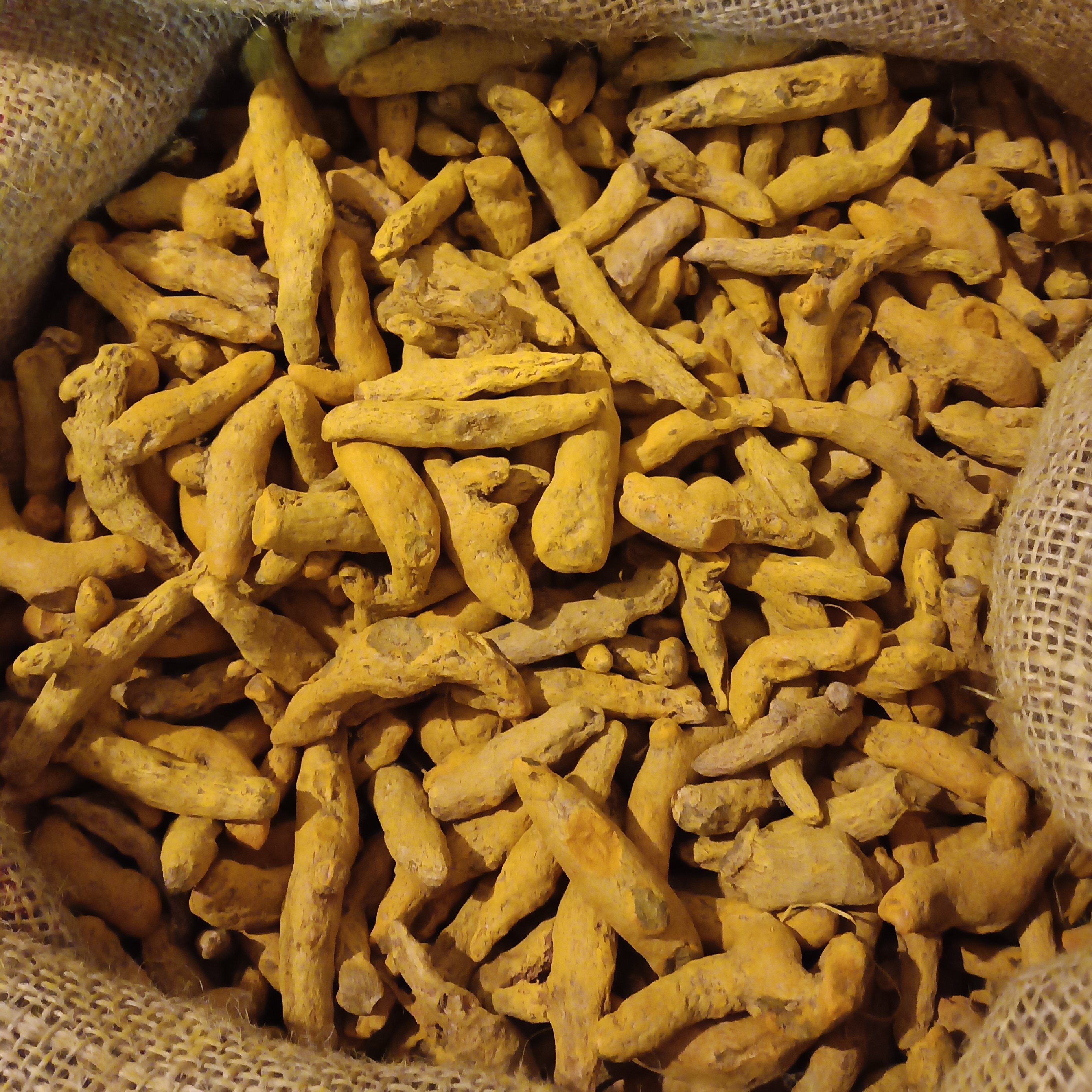 زردچوبه  (یک کیلویی) درجه ی یک خوش رنگ ،خوش عطر ،بالاترین عیار(مارک توبک)هم قلم و هم پودر شده