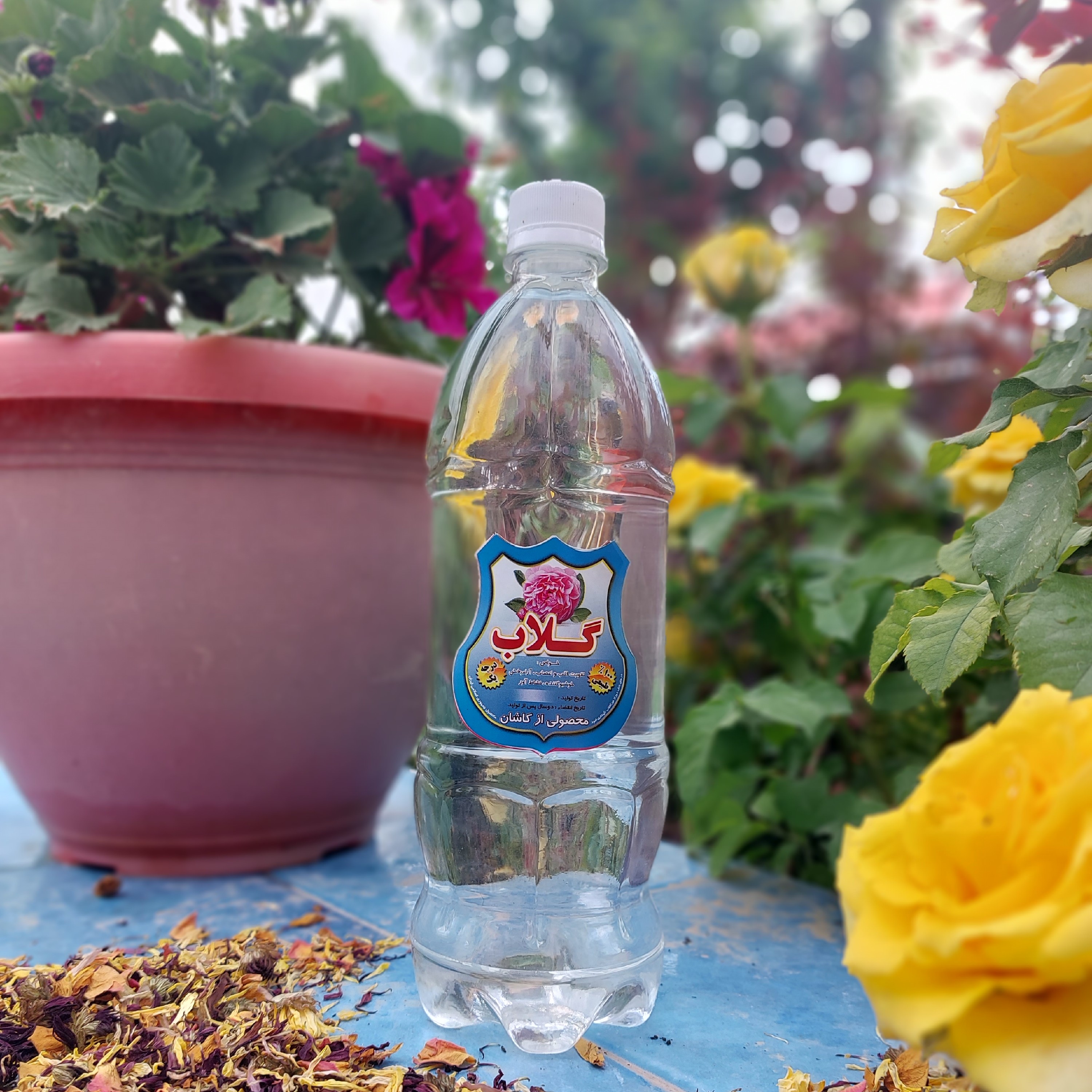 گلاب درجه کاملا سنتی (محصول کاشان)