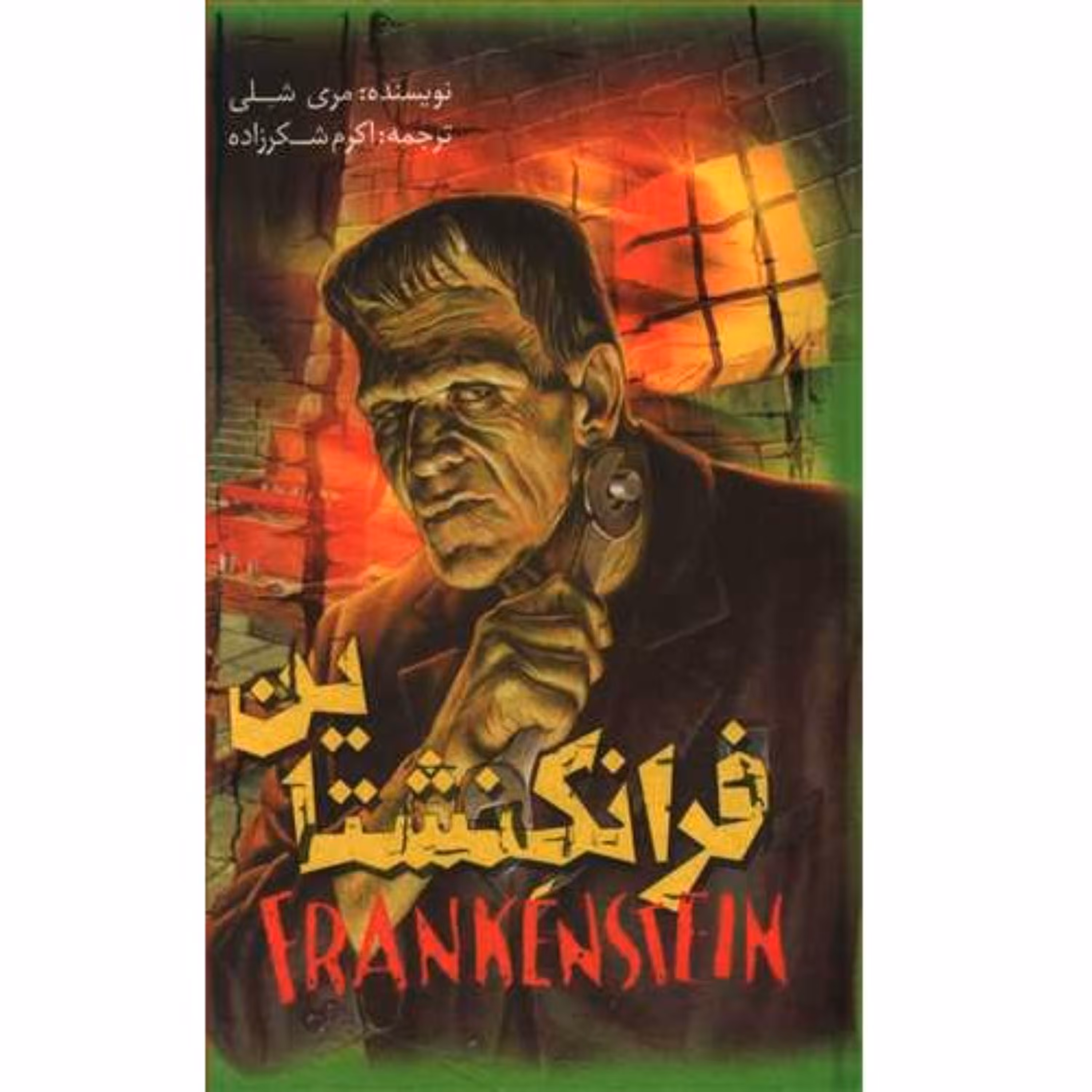 کتاب رمان فرانکنشتاین (پالتویی) نوشته مری شلی ترجمه پژمان واسعی نشر محراب قلم