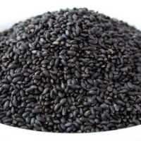 تخم شربتی یک کیلویی درشت 