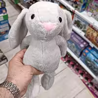 خرگوش جیلی کت