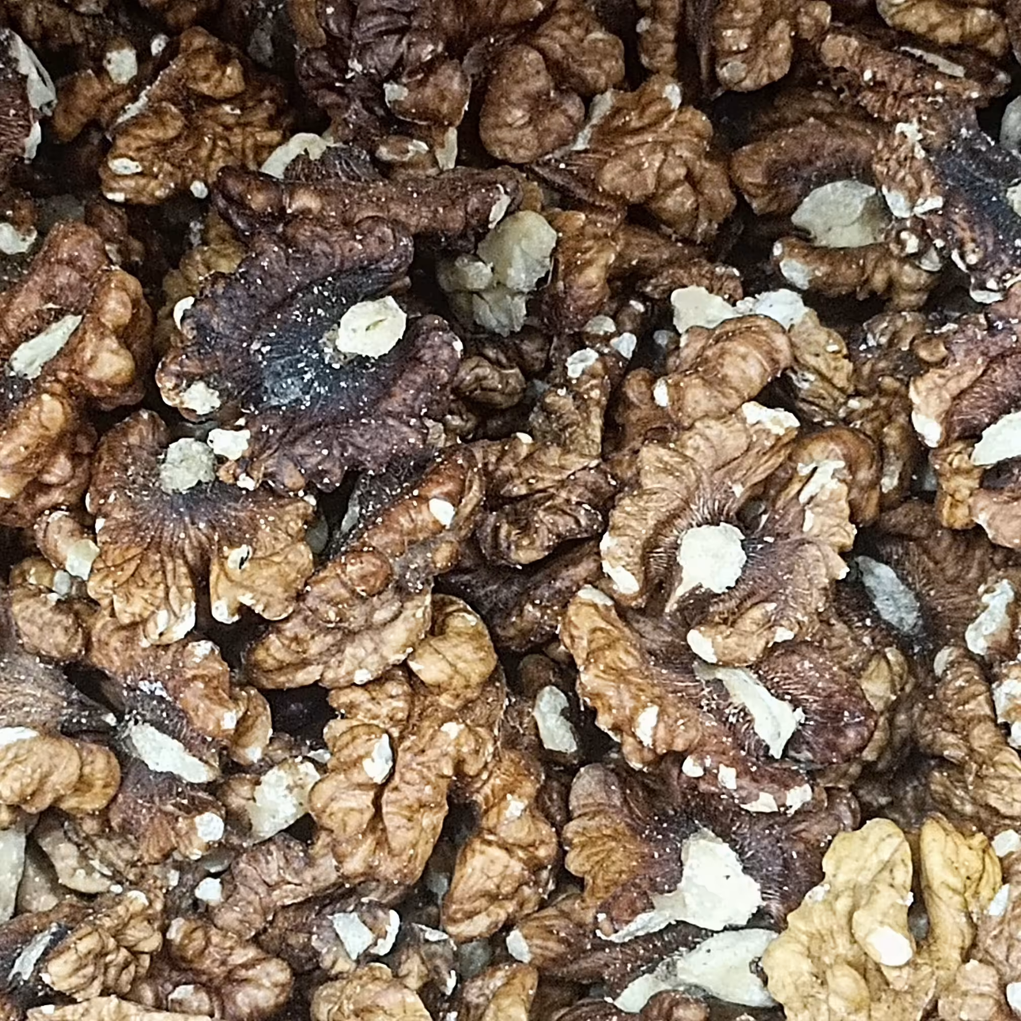 مغز گردو فسنجونی سوپر ممتاز نیم کیلو 150