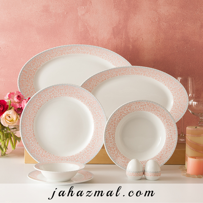 سرویس چینی زرین طرح کلارا گلبهی 28 پارچه
