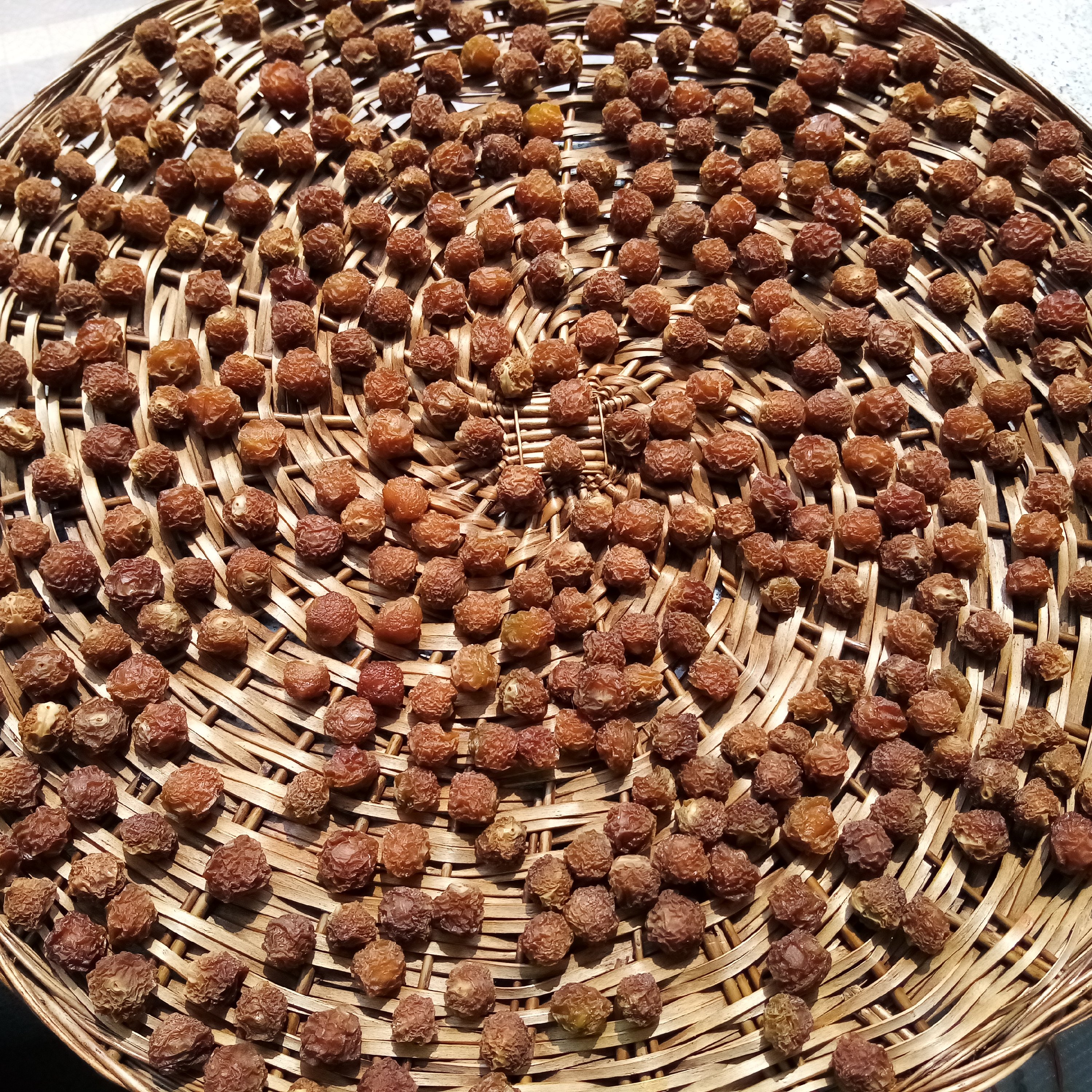 گوجه سلطانی خشک خوش طعم امسال