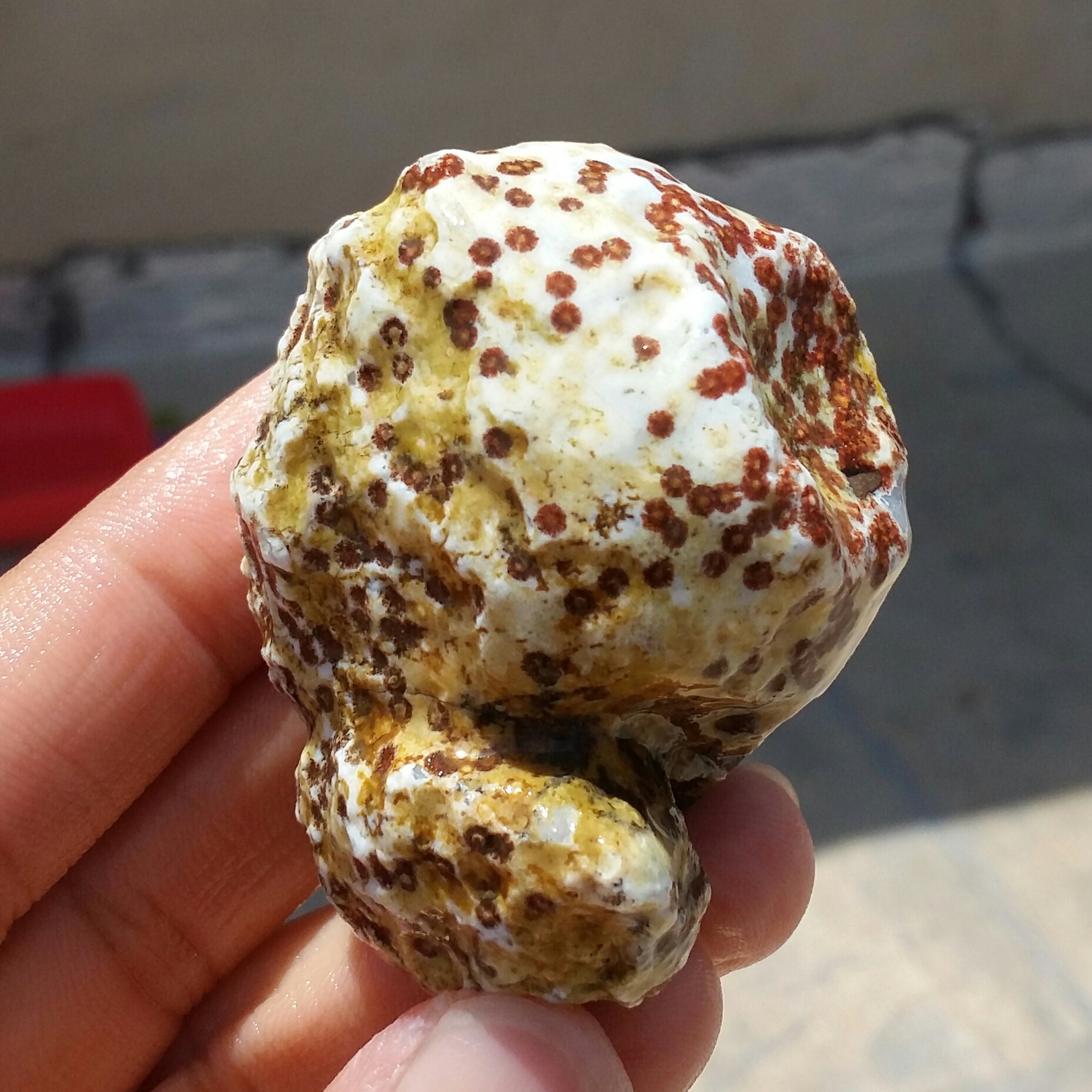 سنگ راف عقیق توپی برش نخورده خام طرح دار صد در صد طبیعی با قابلیت ساخت چند اسلایس و نگین کد 11534