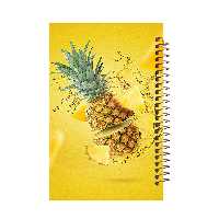 دفتر رنگ آمیزی مشایخ طرح معرق کد H2