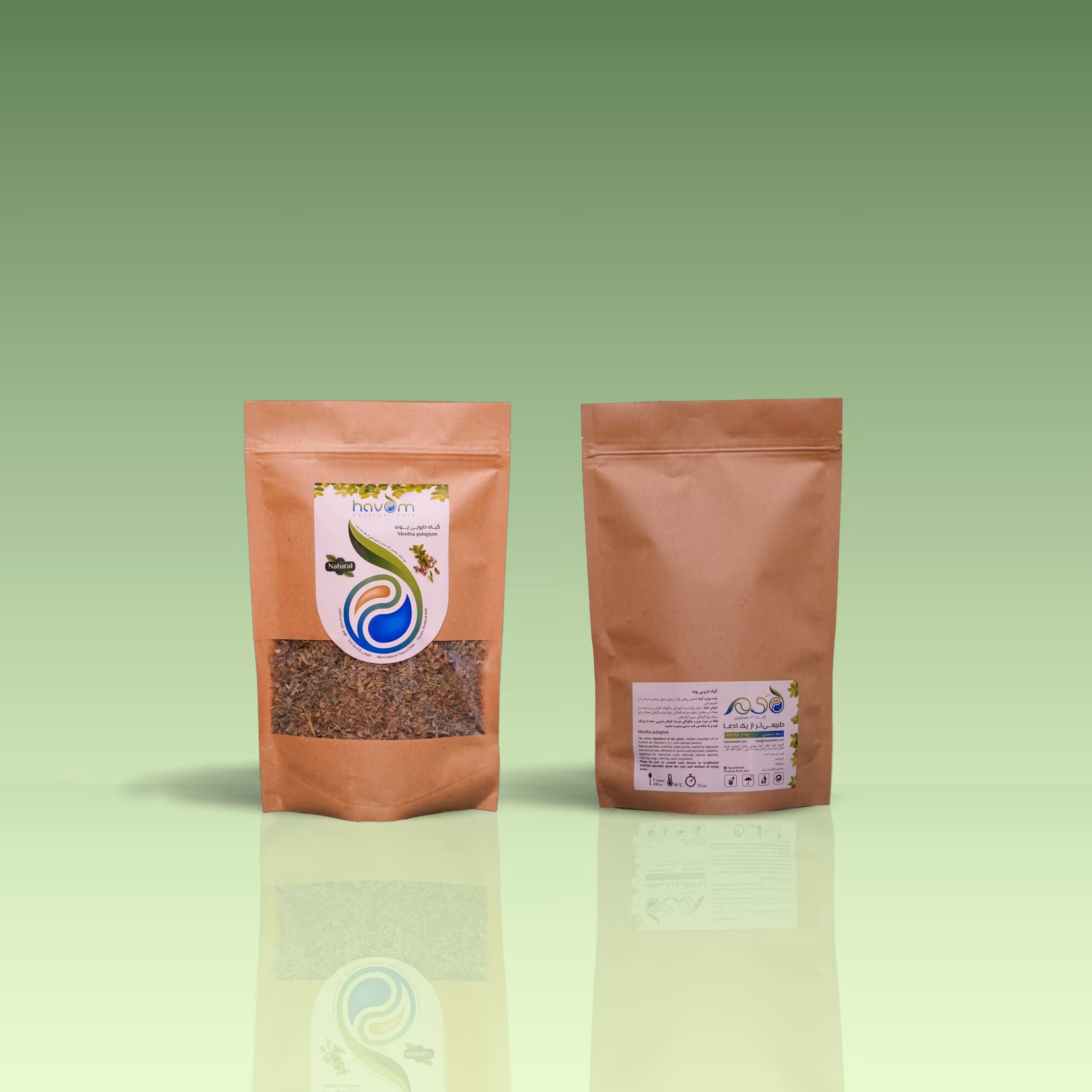 پونه 50 گرمی در بسته بندی بهداشتی مورد تایید متخصص گیاه شناسی