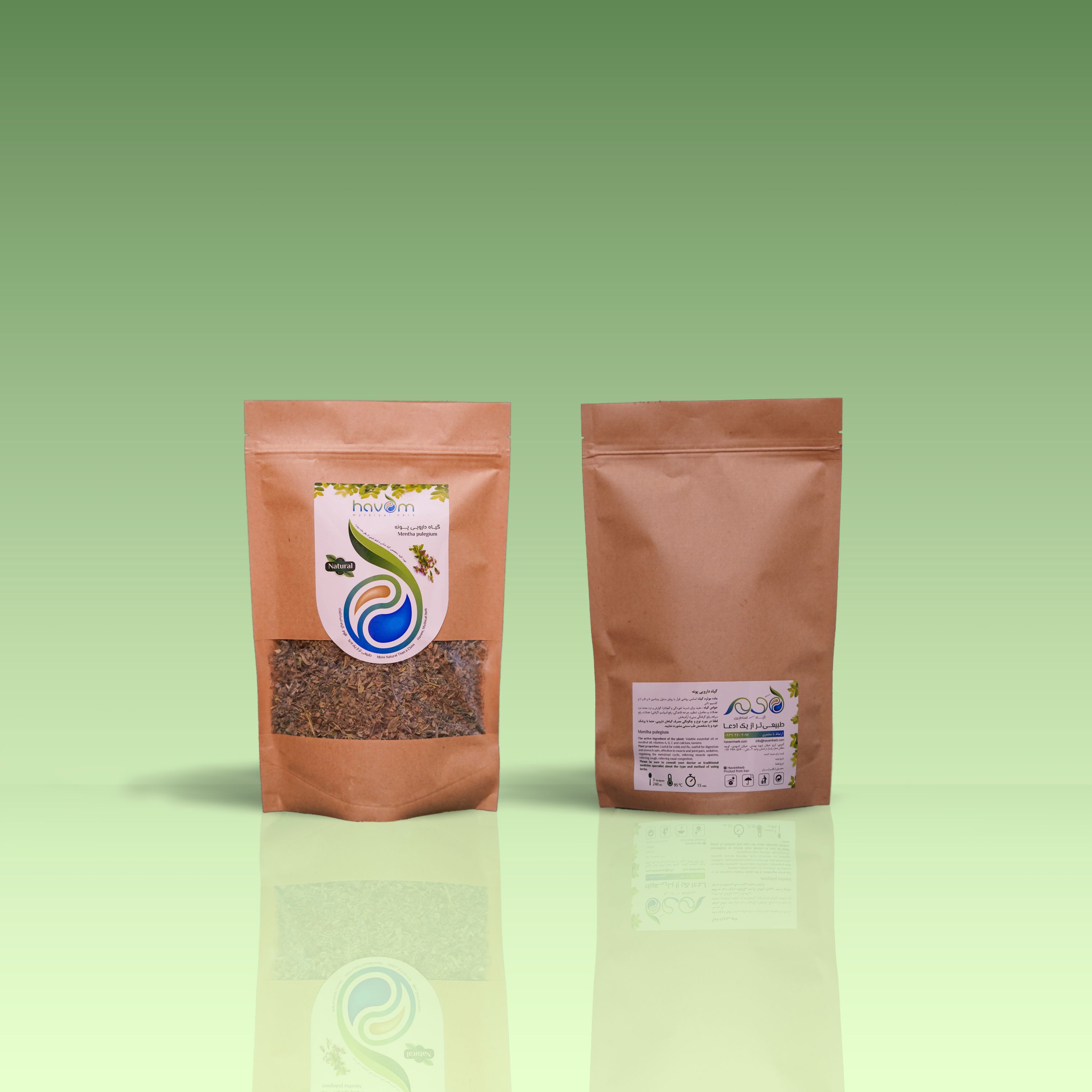 پونه 50 گرمی در بسته بندی بهداشتی مورد تایید متخصص گیاه شناسی