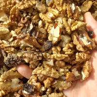 مغز گردو فسنجونی امسالی1402،فوق العاده خوش طعم و پرچرب و گوشتی.