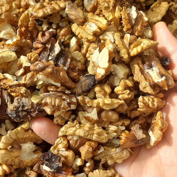 مغز گردو فسنجونی امسالی1402،فوق العاده خوش طعم و پرچرب و گوشتی.