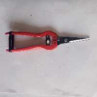 قیچی باغبانی 8 اینچ پرتقال چینی