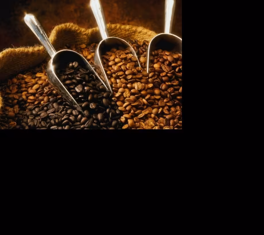 دان قهوه 80درصد ربوستا 