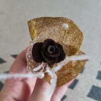 گیفت گل حنا