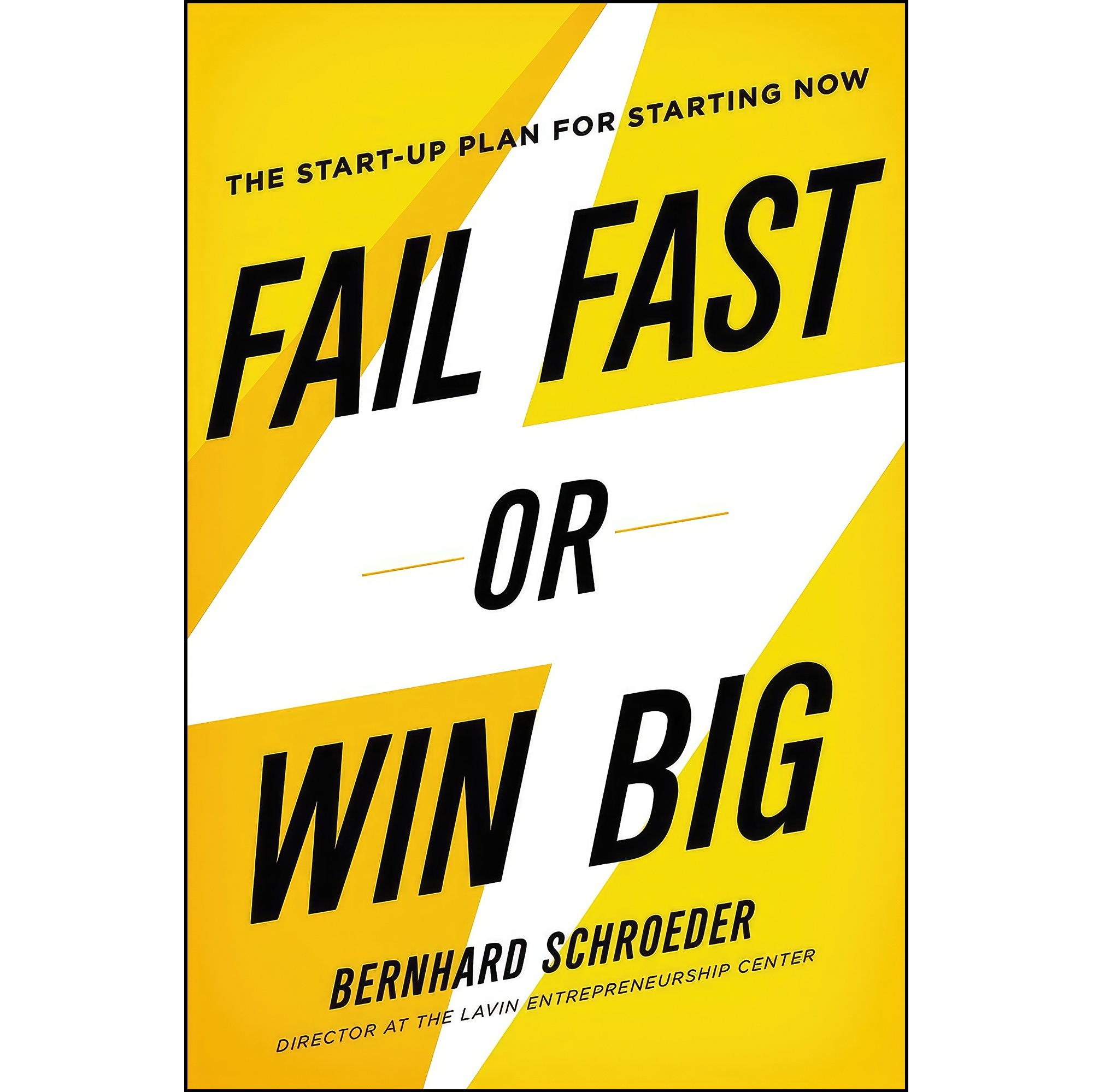 کتاب زبان اصلی Fail Fast or Win Big اثر Bernhard Schroeder انتشارات AMACOM
