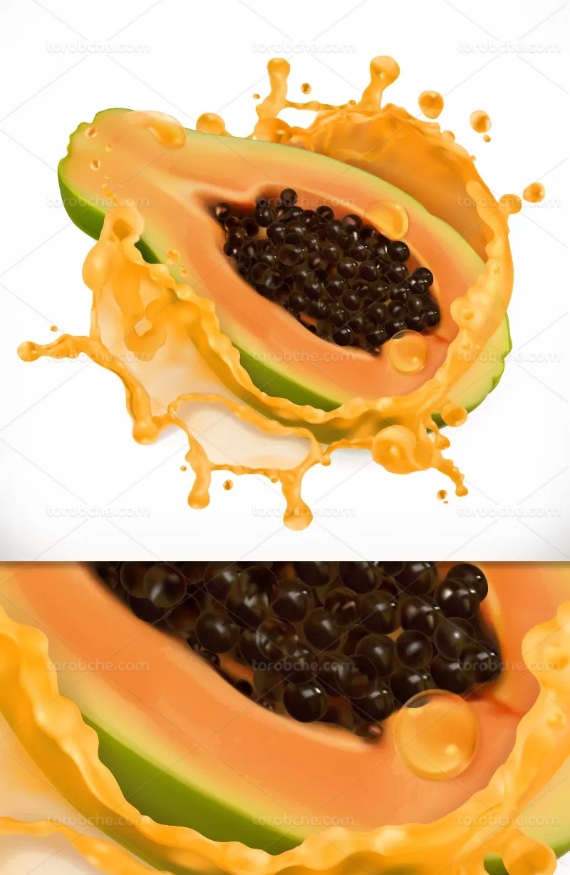 وکتور میوه پاپایا | گرافیک با طعم تربچه