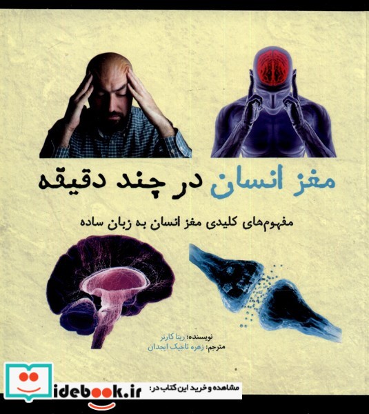 کتاب مغز انسان در چند دقیقه