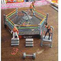 خرید اسباب بازی رینگ کشتی کج به قیمت کارخانه - فروشگاه بزرگ اسباب بازی دقیق