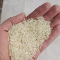 فجر مجلسی اعلا (باربری)