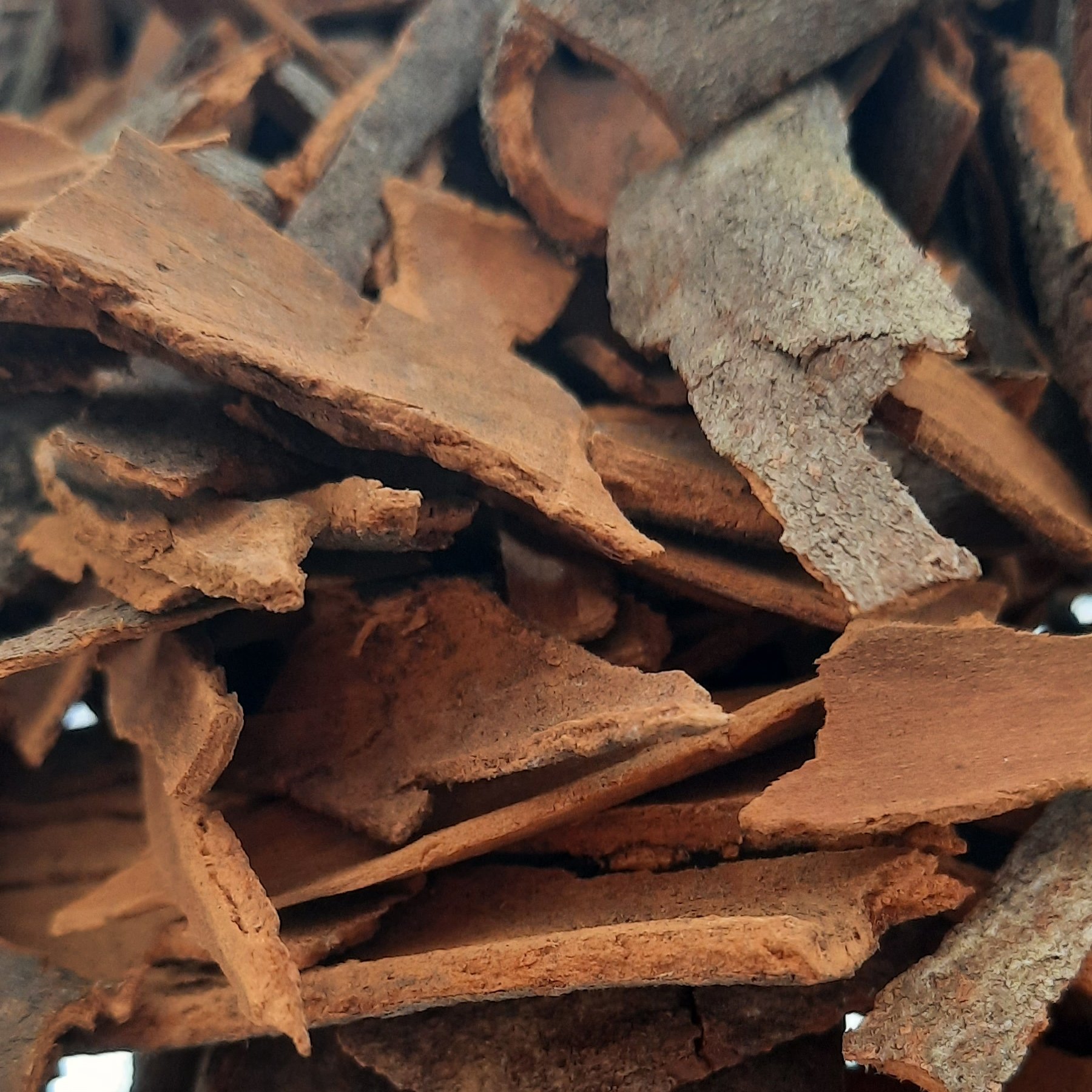 دارچین چوب شکسته 100 گرمی