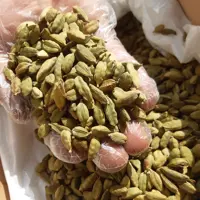 هل سبز p1درشت 50گرم چاشنی خاتون