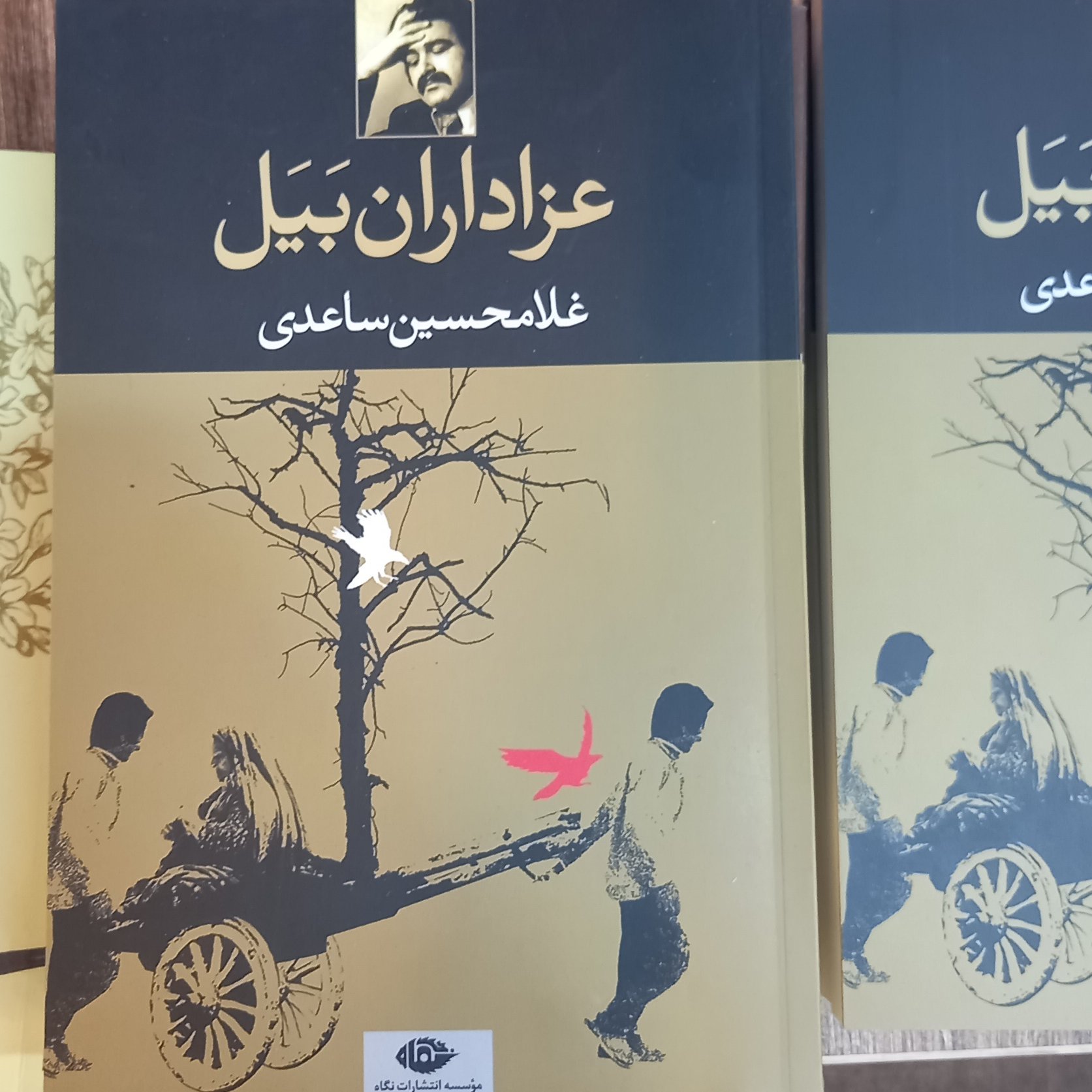 کتاب رمان عزاداران بیل
