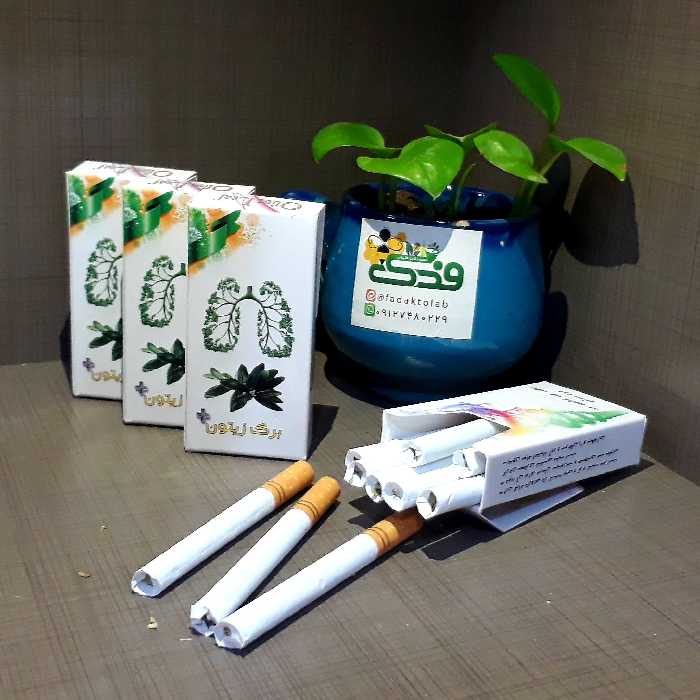 برگ خشک زیتون فدک (بهبود دهنده سینوزیت)
