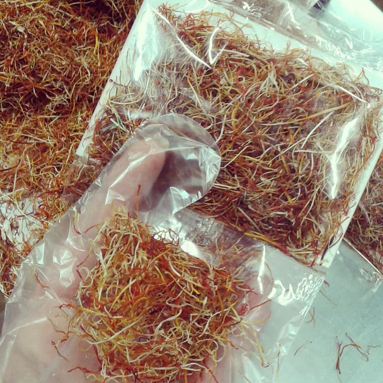 ریشه زعفران