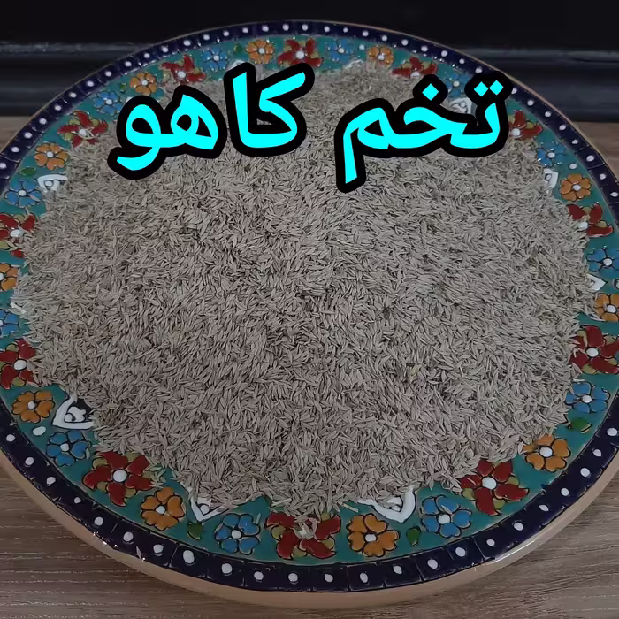 تخم کاهو 4 کیلویی