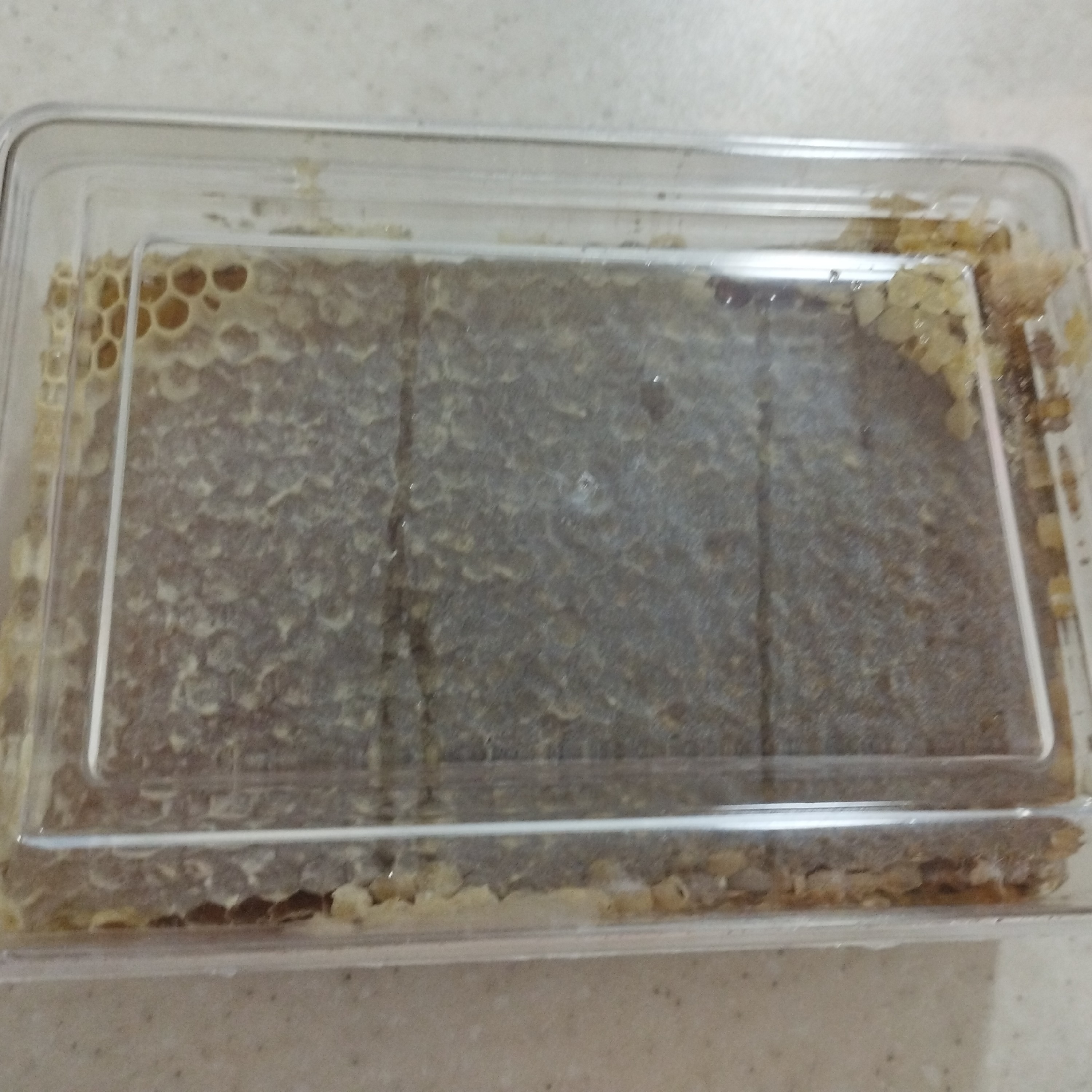 عسل با موم(1یک کیلوگرم)